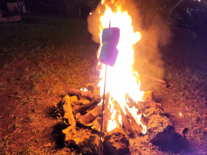 Marshmallows ensartados en palo asándose sobre fogata de leña encendida durante la noche