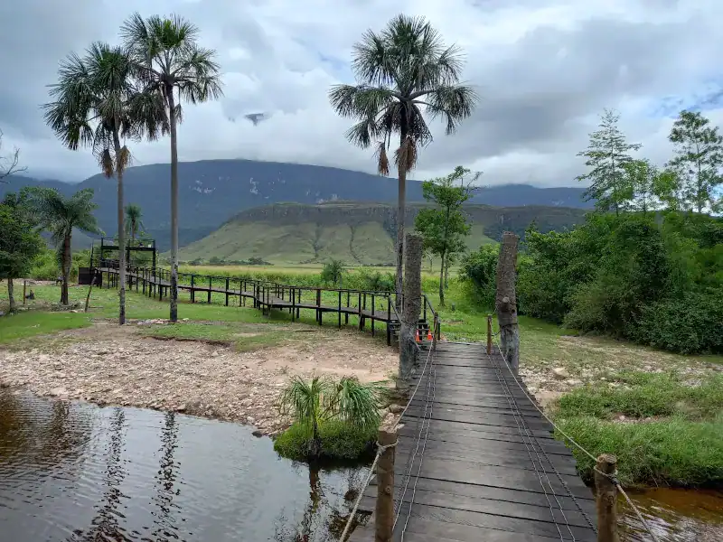 Puente colgante de madera sobre río en la Gran Sabana, flanqueado por palmeras moriches, con tepuy y vegetación exuberante al fondo.