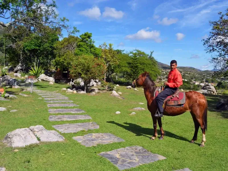 Hombre con camisa roja montado en caballo marrón sobre césped verde, junto a sendero de piedra con árboles, rocas y montañas al fondo.
