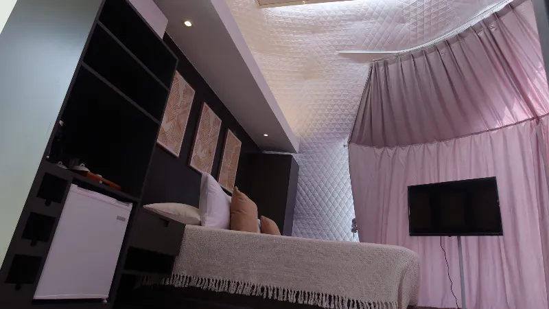 Vista interior del domo desde arriba mostrando el techo geodésico acolchado, la cama con almohadas, estantería oscura, minibar y televisor en el lateral.