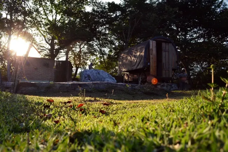 Carreta glamping entre árboles al amanecer con rayos de sol filtrándose, rodeada de césped verde y rocas.