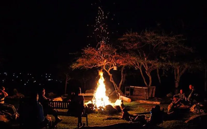 Grupo de personas reunidas alrededor de una fogata nocturna bajo árboles, con luces del paisaje al fondo.