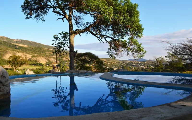 Piscina tipo desbordante de forma orgánica con reflejo de árbol y montañas, rodeada de vegetación natural al atardecer.