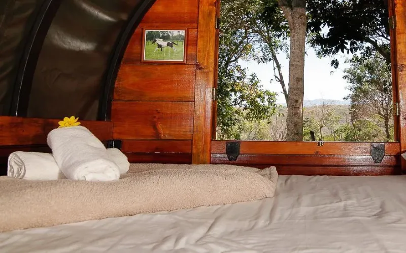 Interior de carreta glamping con cama doble, toallas enrolladas con flor amarilla y ventana de madera con vista al bosque y el paisaje.