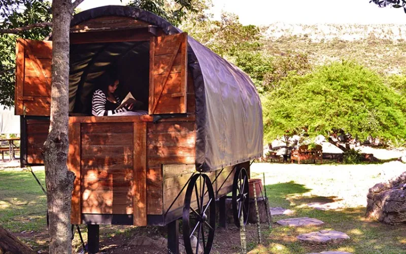 Persona leyendo en la ventana abierta de una carreta de madera con ruedas de hierro, rodeada de árboles y jardín verde.