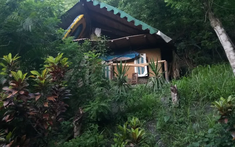 Cabaña rústica de la posada La Fuente rodeada de exuberante vegetación tropical en Caruao, La Guaira, Vargas, Venezuela