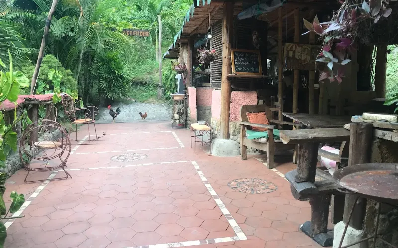 Patio central de la posada La Fuente con mobiliario rústico de madera, gallinas y vegetación selvática en Caruao, La Guaira, Vargas, Venezuela
