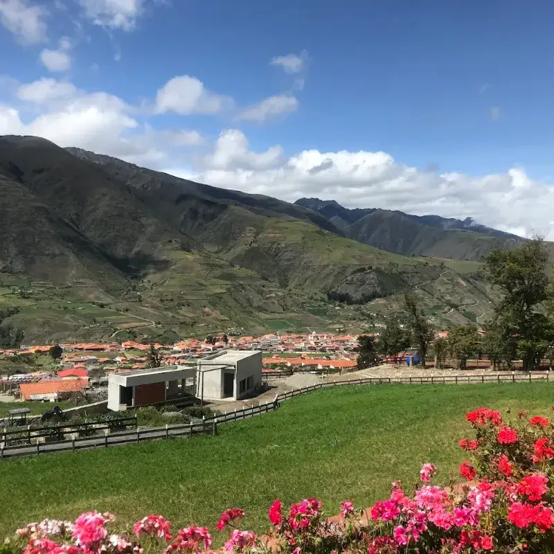 Vista panorámica del pueblo de Mucuchíes con flores rosas en primer plano y la cordillera andina al fondo, desde la posada Rafaela y Cristóbal, Estado Mérida, Venezuela