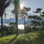 Sol filtrándose entre palmas y árboles tropicales sobre prado verde, con destello sobre el embalse y montañas al fondo