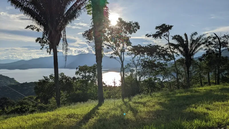 Sol filtrándose entre palmas y árboles tropicales sobre prado verde, con destello sobre el embalse y montañas al fondo
