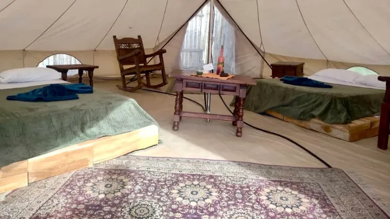 Interior de bell tent con dos camas verdes, mecedora, mesa central de madera con botella de vino y tapete persa