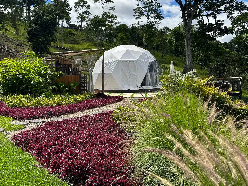 Domo geodésico blanco entre jardines con plantas rojizas y vegetación tropical, rodeado de bosque y cielo despejado