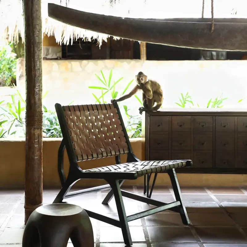 Interior rústico y elegante con silla lounge de madera oscura y cuero trenzado, sobre la que descansa un pequeño mono capuchino curioso, junto a un mueble de cajones de madera y una canoa suspendida bajo techo de paja en Waku Lodge, Canaima Venezuela.